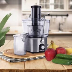 Electric Juicer Machine Fruit Vegetable Citrus Juice Extractor 1000W Centrifugal Power Two Speed Electric