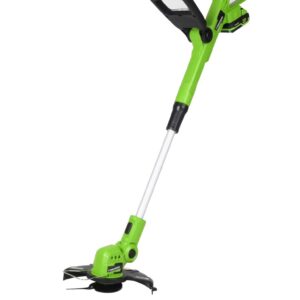 20V Cordless Grass Trimmer 2000mah Battery, 50 Min, Fast 1-Hr Charger, 20 Blades